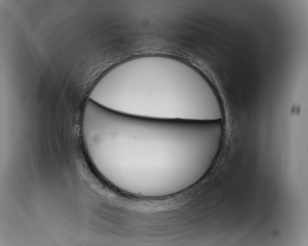 X0000115650017200911241744