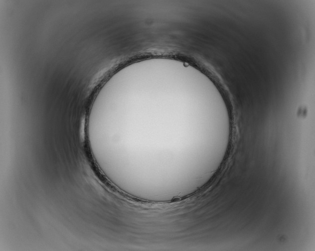 X0000115650019200911241744