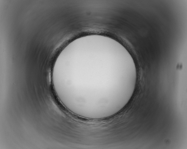 X0000115650020200911241744