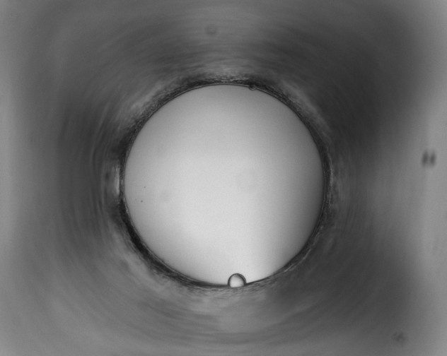 X0000115650021200911241744