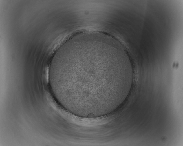 X0000115650022200911241744