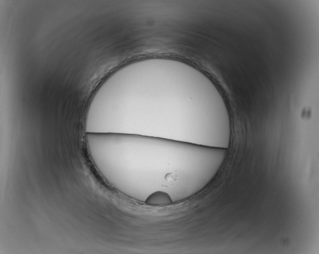 X0000115650023200911241744