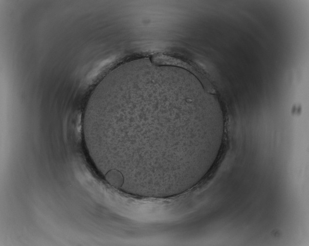 X0000115650024200911241744