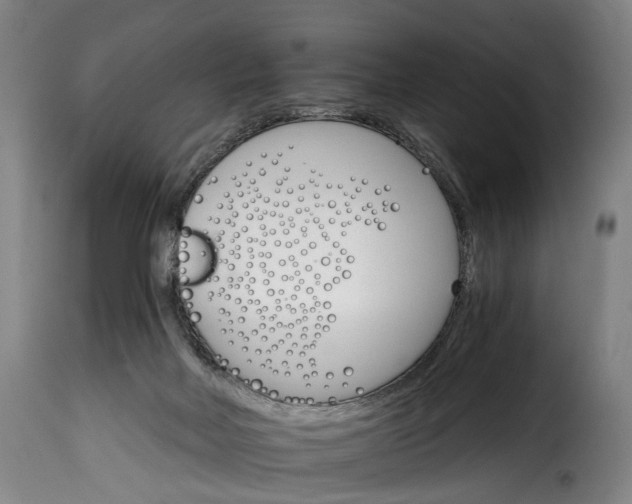 X0000115650026200911241744