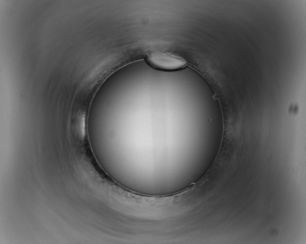 X0000115650027200911241744