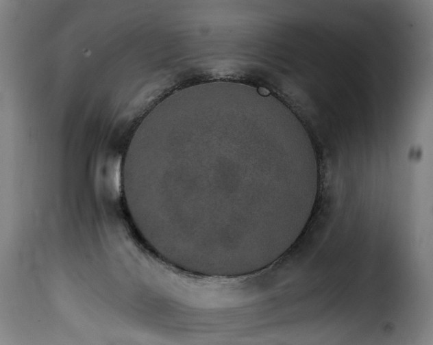 X0000115650028200911241744