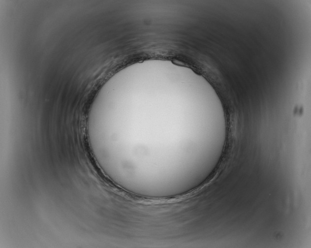 X0000115650029200911241744