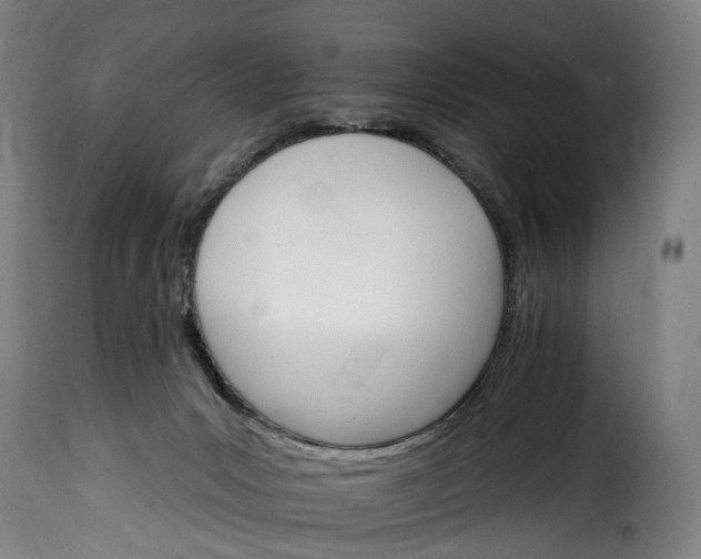 X0000115650031200911241744