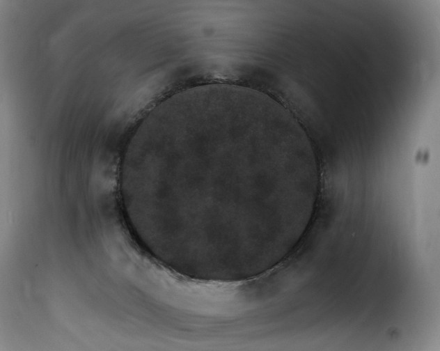 X0000115650032200911241744