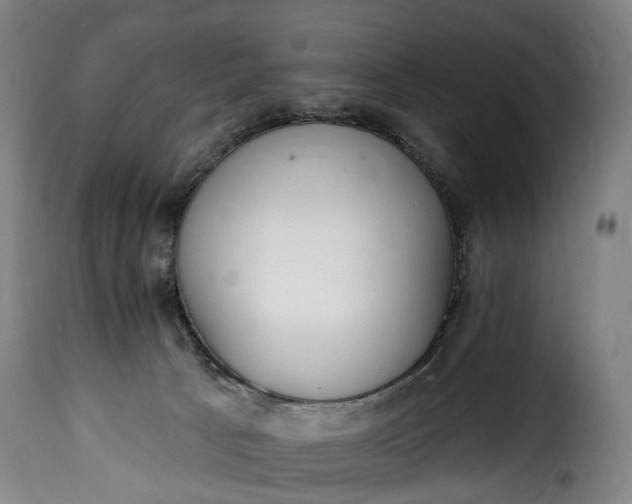 X0000115650033200911241744