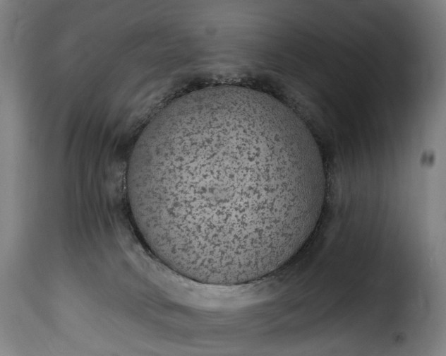 X0000115650034200911241744