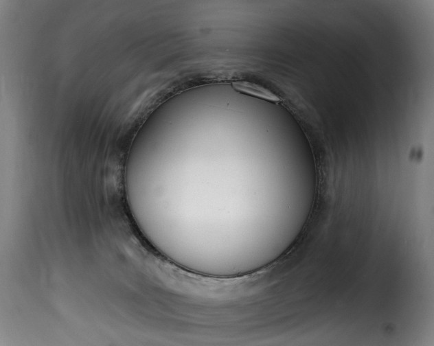 X0000115650035200911241744