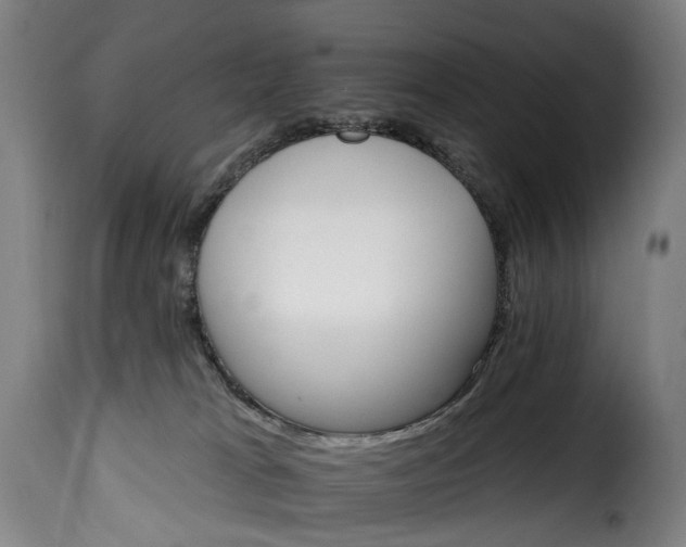 X0000115650037200911241744