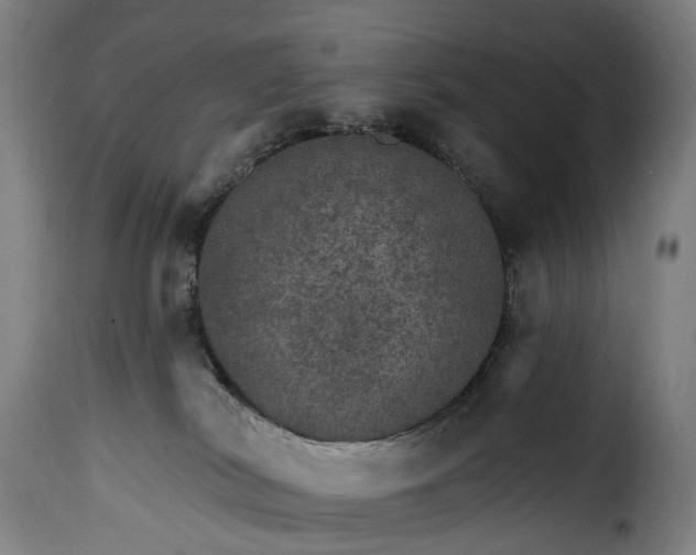 X0000115650038200911241744