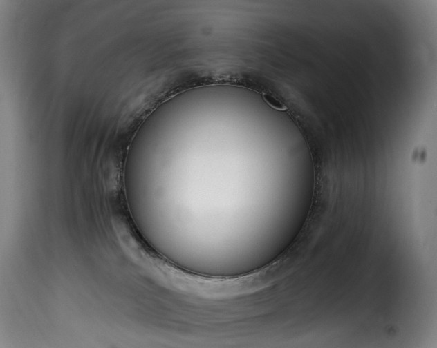 X0000115650039200911241744