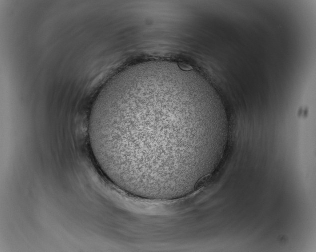 X0000115650040200911241744