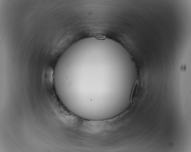 X0000115650041200911241744