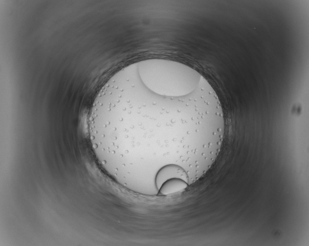 X0000115650042200911241744