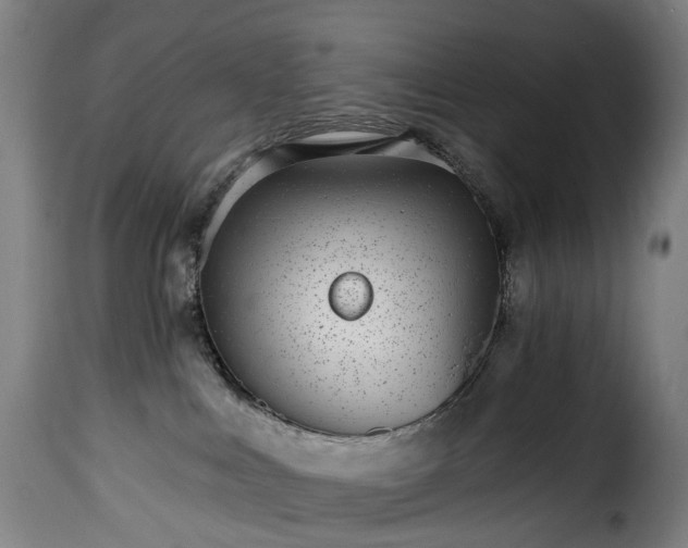 X0000115650043200911241744