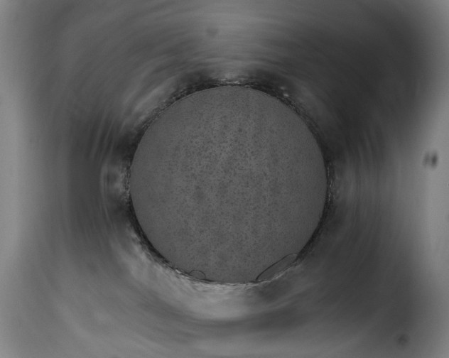 X0000115650044200911241744