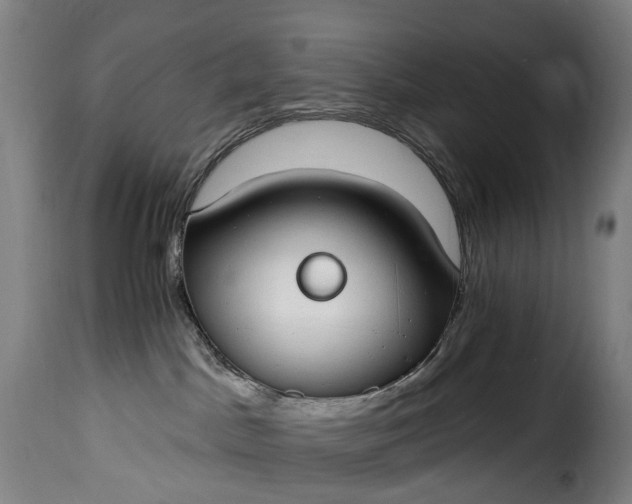 X0000115650045200911241744