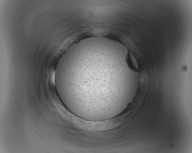 X0000115650046200911241744