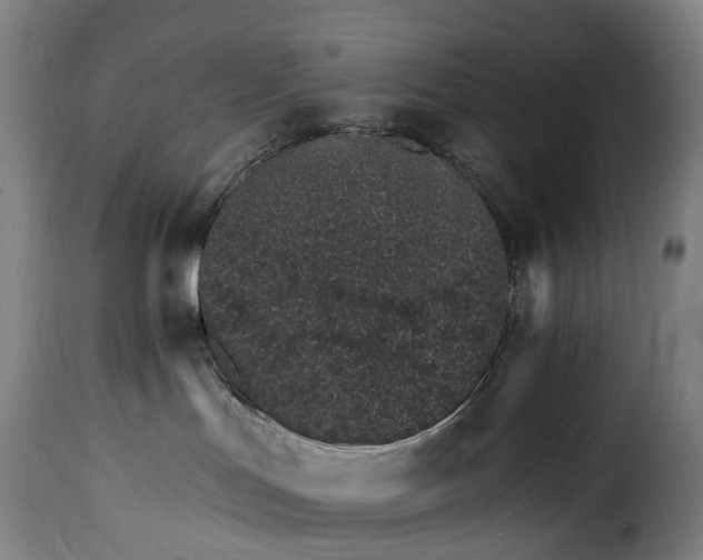 X0000115650047200911241744