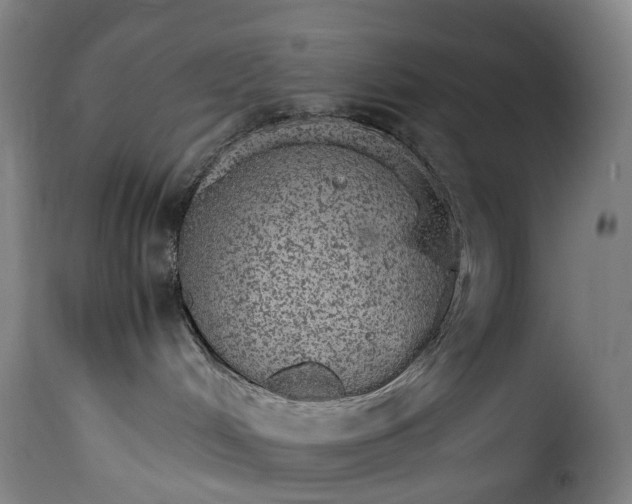 X0000115650048200911241744