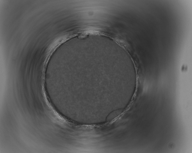 X0000115650049200911241743