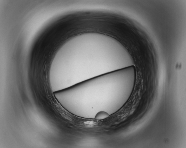 X0000115650050200911241743