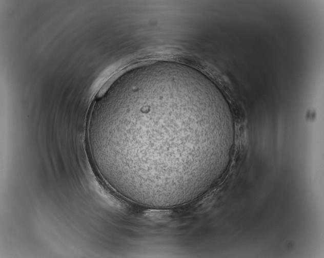 X0000115650051200911241743