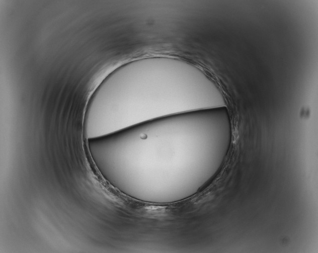 X0000115650052200911241743