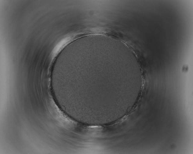 X0000115650053200911241743