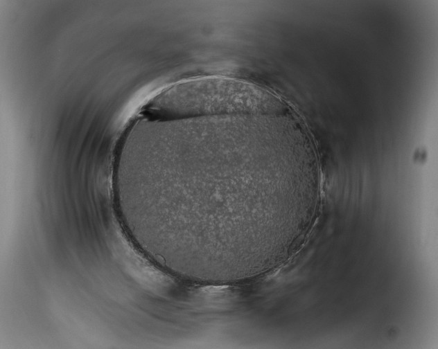 X0000115650054200911241743