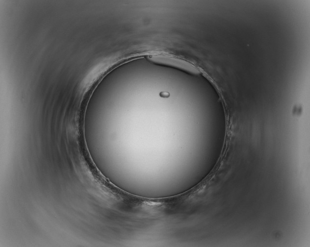 X0000115650055200911241743