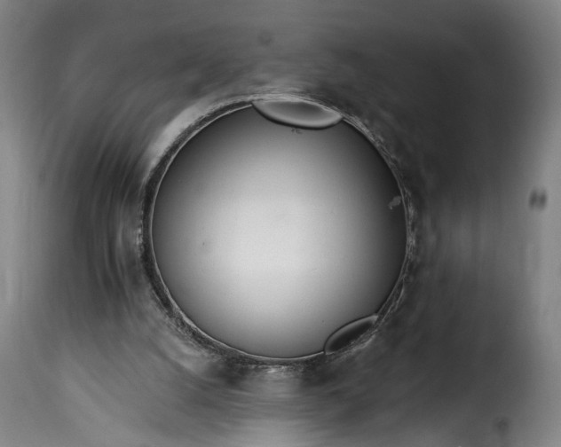 X0000115650056200911241743