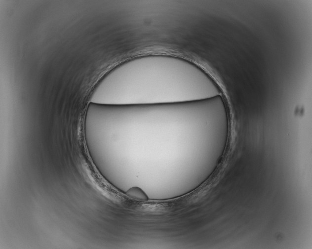 X0000115650057200911241743