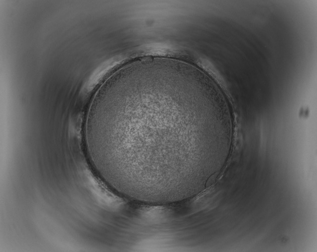 X0000115650058200911241743