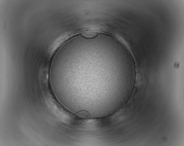 X0000115650059200911241743