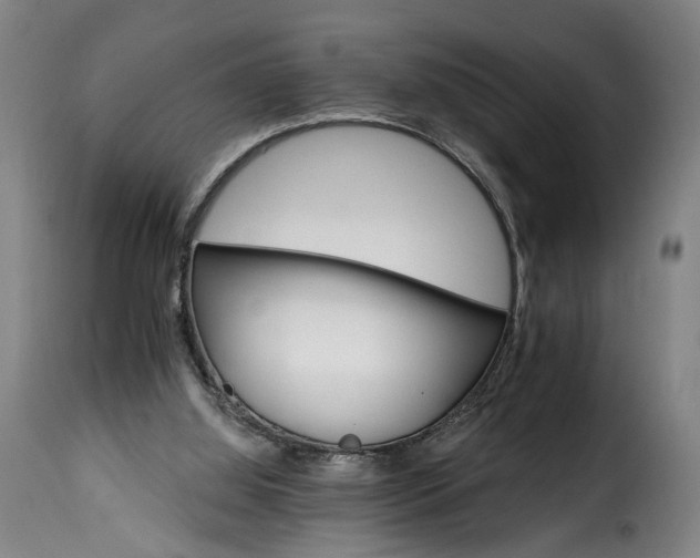 X0000115650060200911241743