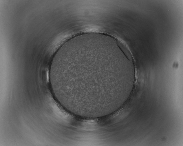 X0000115650061200911241743