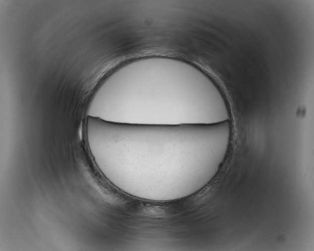 X0000115650062200911241743