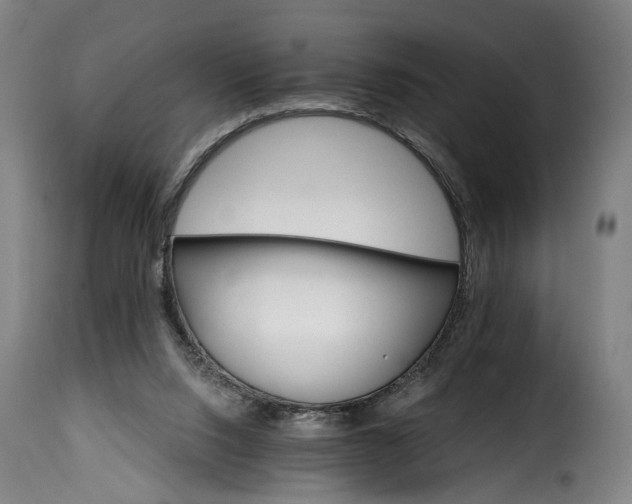 X0000115650064200911241743