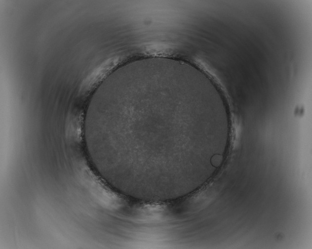 X0000115650065200911241743