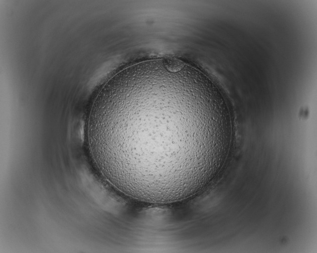 X0000115650067200911241743