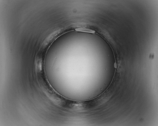 X0000115650068200911241743