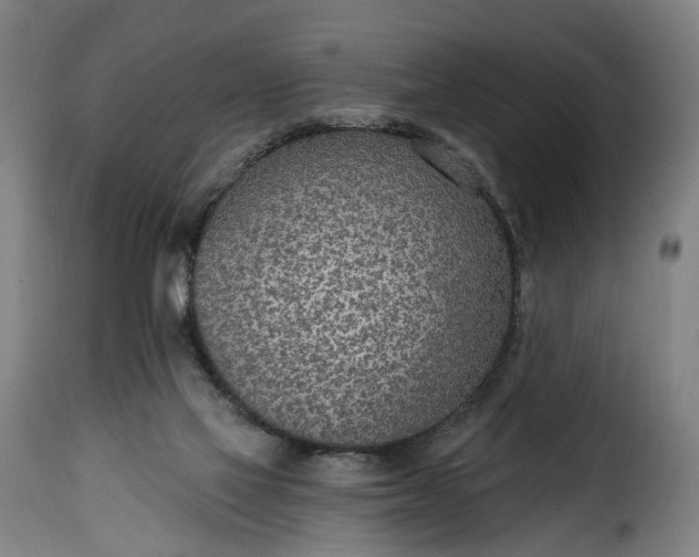 X0000115650069200911241743