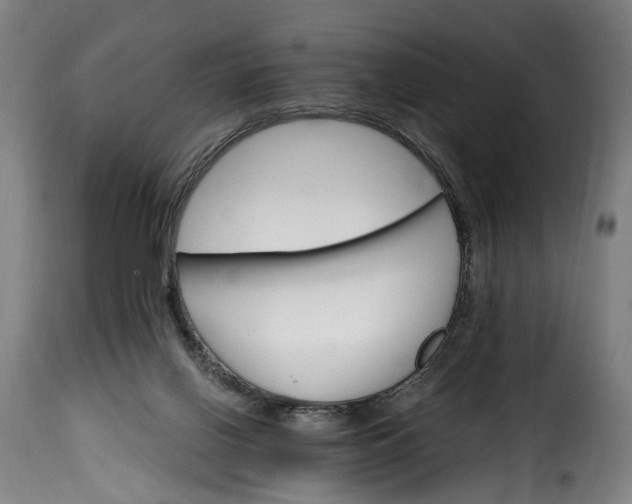 X0000115650070200911241743