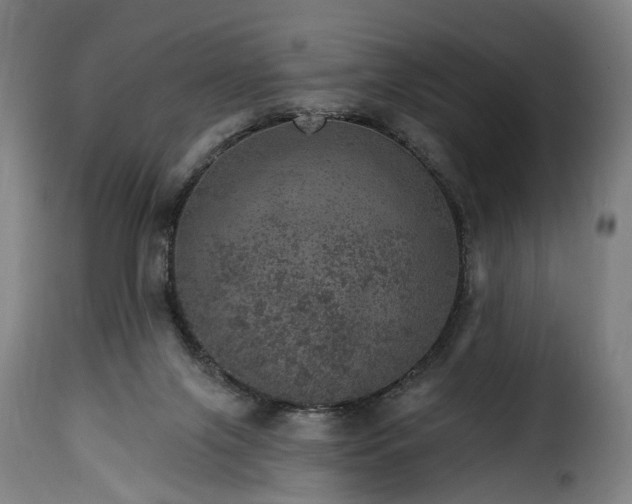 X0000115650071200911241744