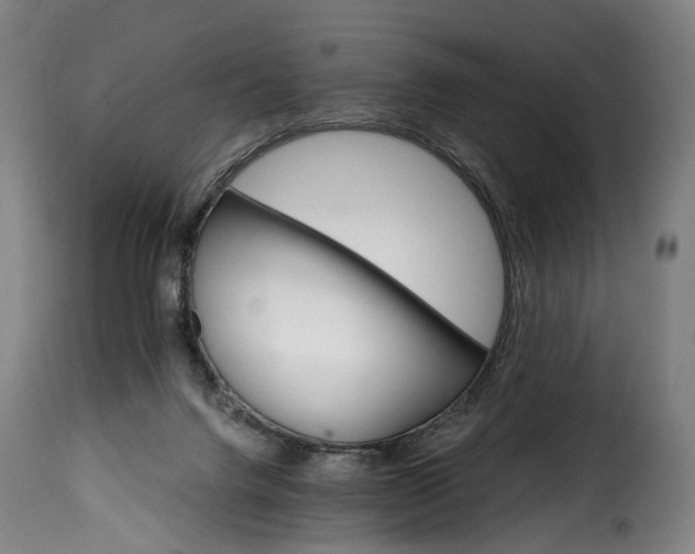 X0000115650072200911241744